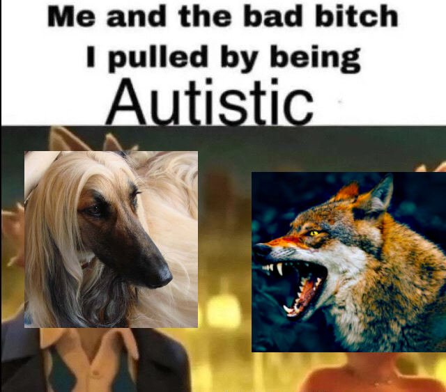 [Image: 207f9bbee7f469b6a94d19c5939544795a508d19...2d84-1.jpg]