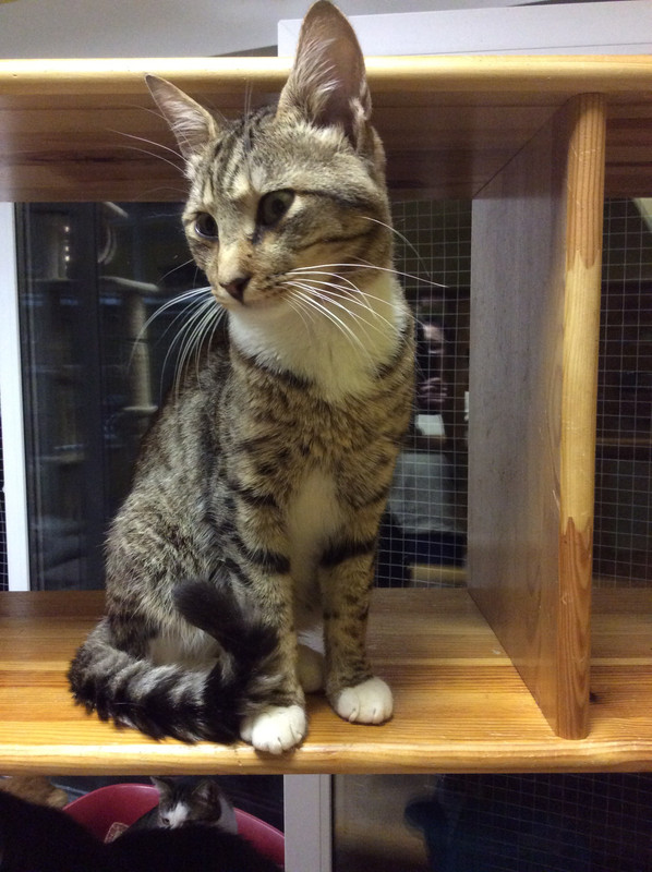 1102F4B7-B444-4AC5-A514-55EC4B6EC5D7