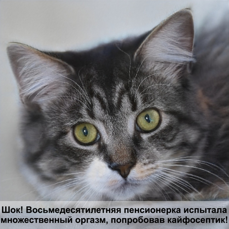 как защитить цветочные горшки от кошки