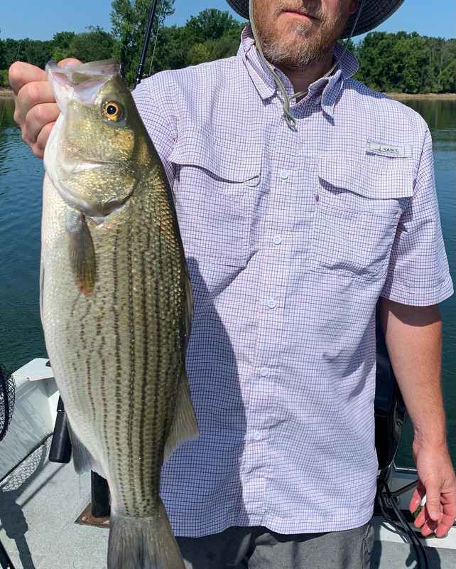 85B12A6F-4397-4C95-92B3-6F014CC7E097