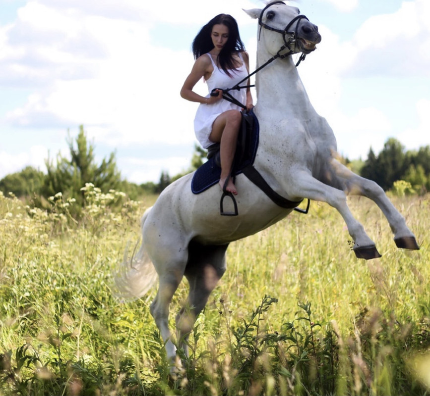 DB6E3356-9143-40CA-B65D-0391B447E3A9