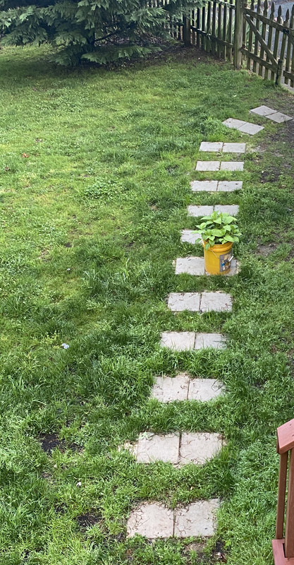 96A6D0C5-62BE-474B-8C20-4271ED807652