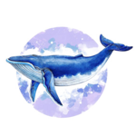 https://i.postimg.cc/PxyVvcfn/kisspng-blue-whale-baleen-whale-illustrator-illustration-watercolor-whale-5a6a2e1def5ef5-77476998151.png