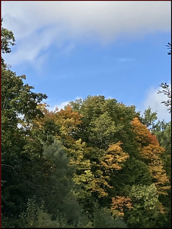 https://i.postimg.cc/Pxyn73b0/97.jpg