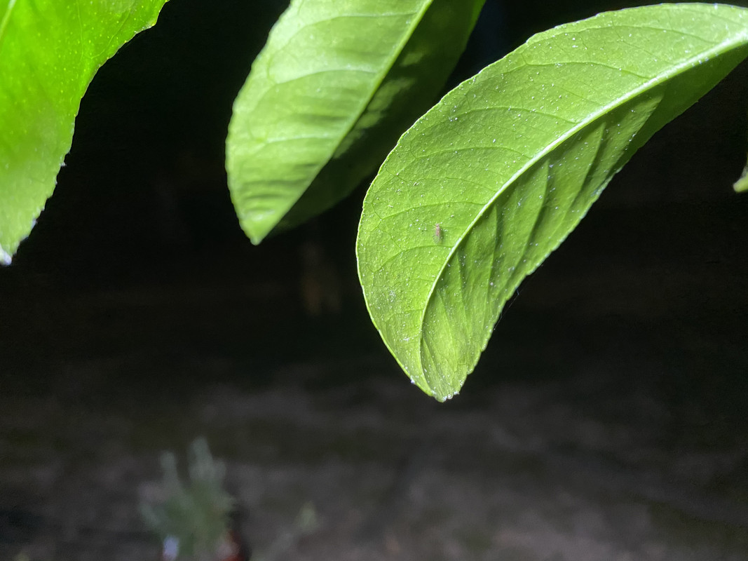 FCCD1347-37B9-48A8-8D69-354316A401BB