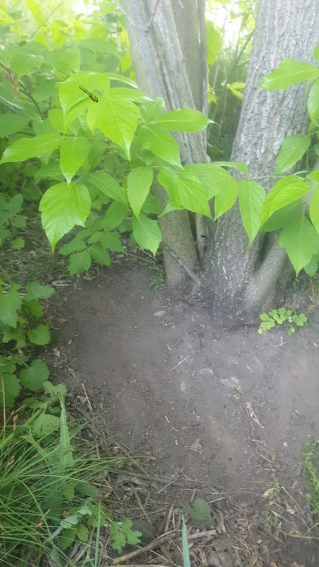 photo 2026 05 30 04 57 31