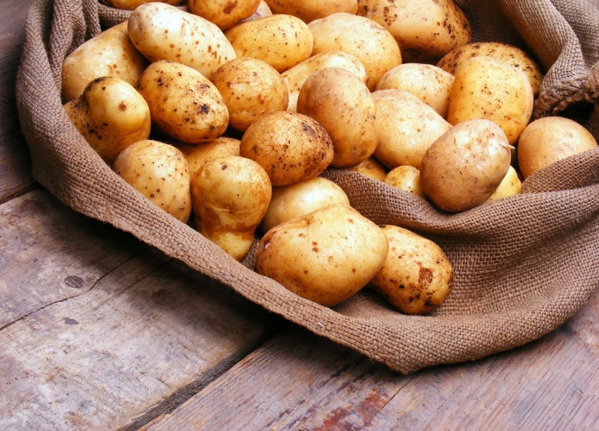 Картофельный кризис что делать и как выжить