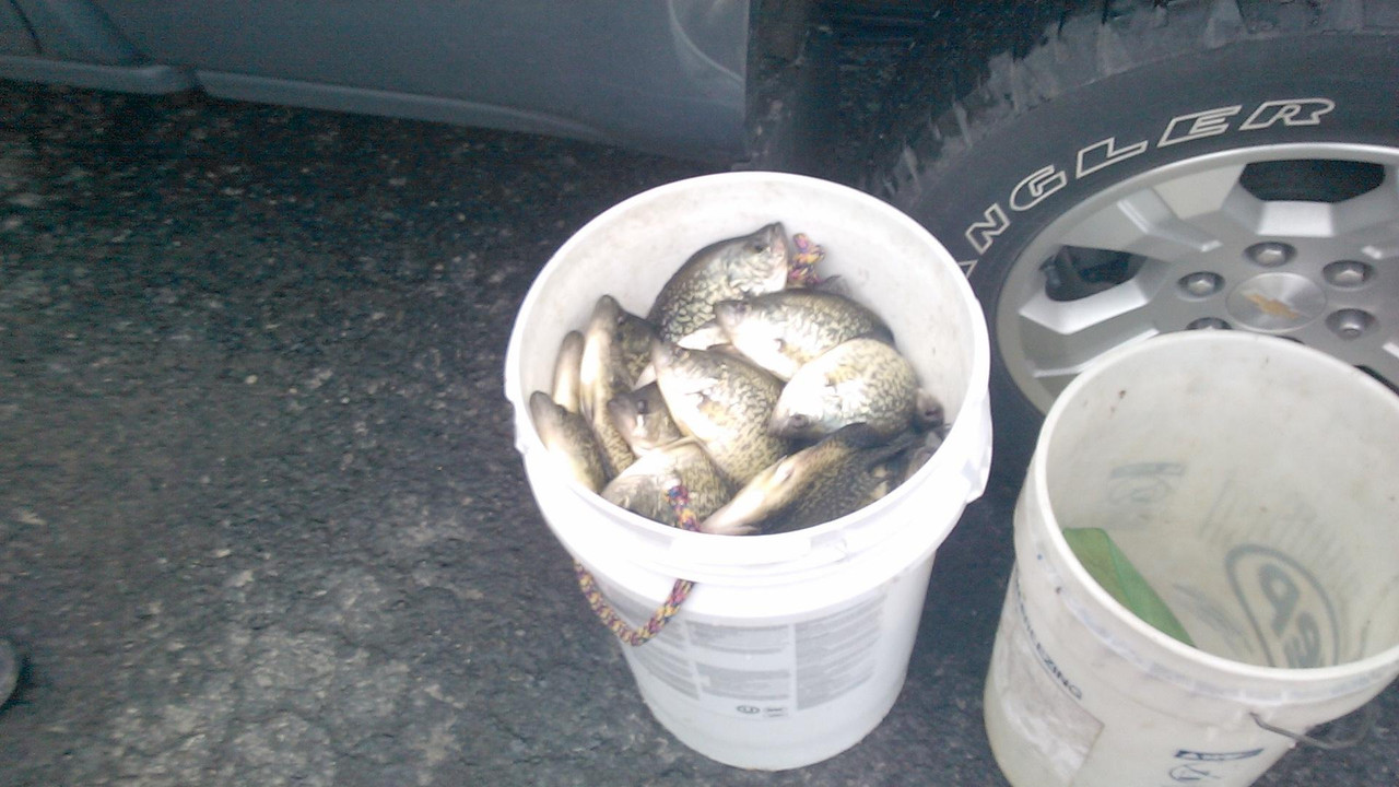 386CFACA-5B94-4A0F-8693-EA68D44D077C