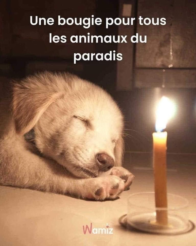 [Image: IMG-0546.jpg]