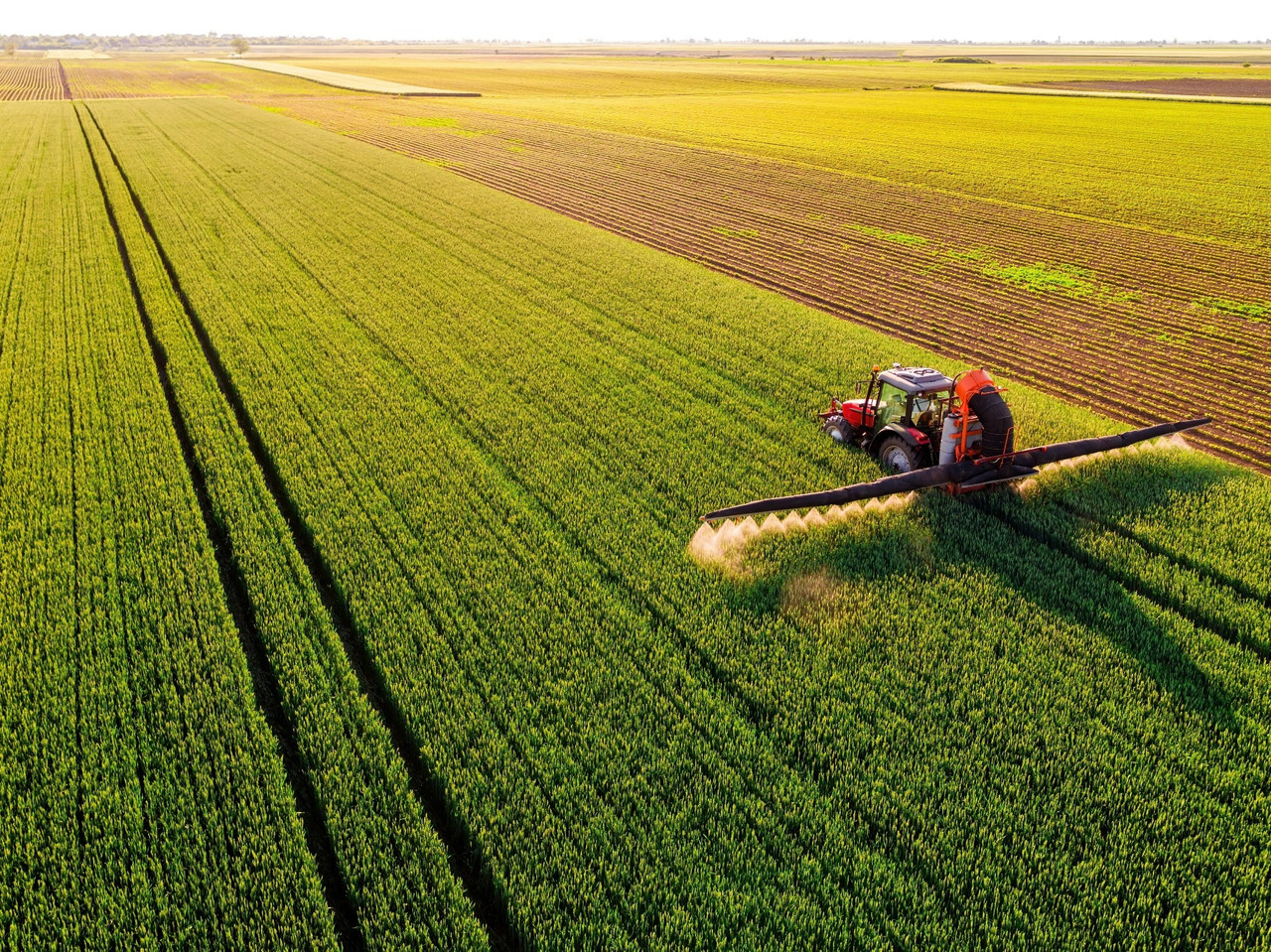 Agricultural field