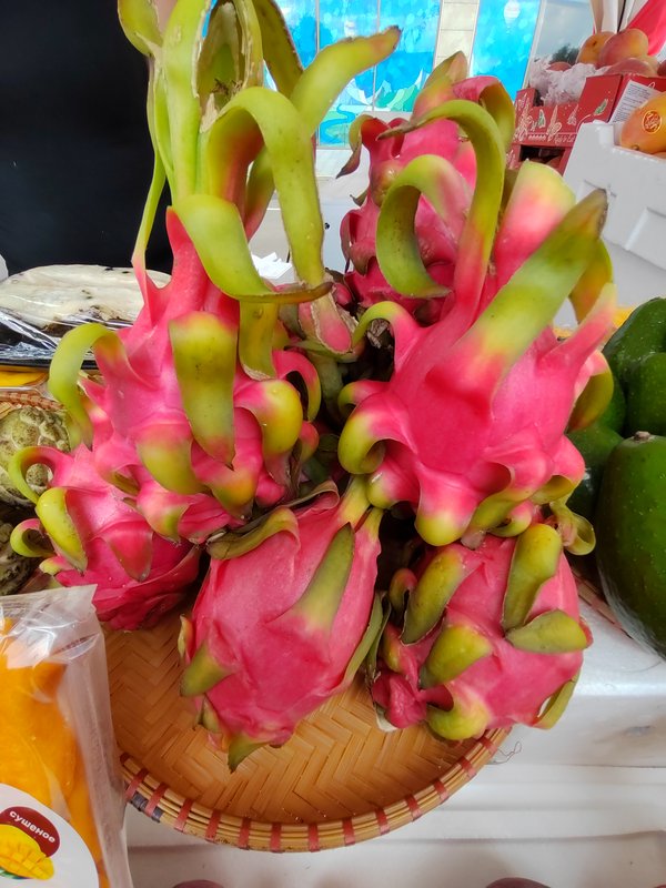 https://i.postimg.cc/PxzTk5xW/37-IMG-20230810-115907.jpg
