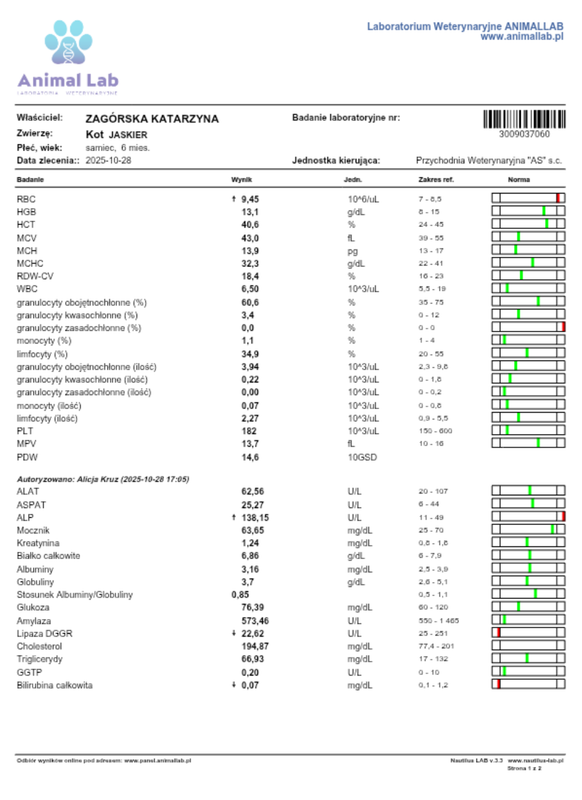 Screenshot 20251028 192527