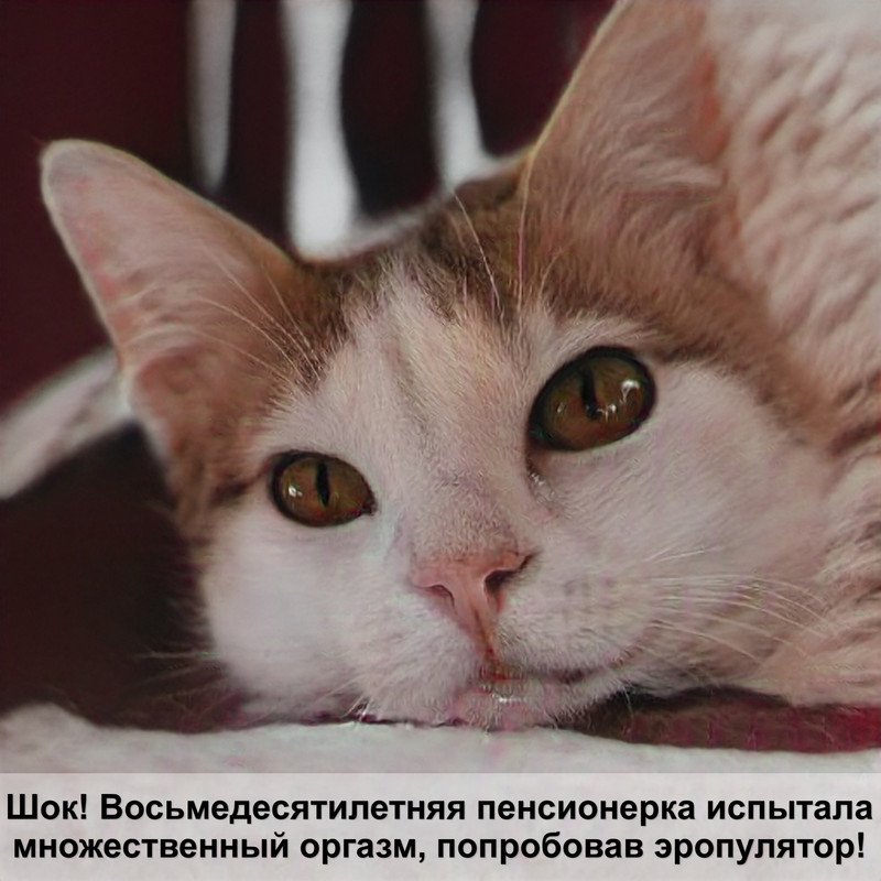 какая кошка самая страшная