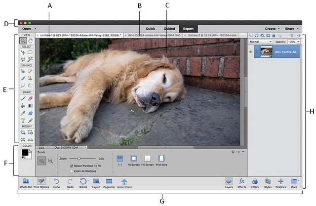 Adobe-Photoshop-Elements-screen.jpg