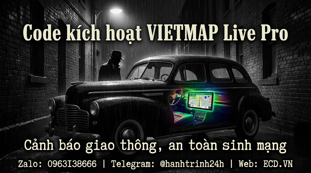 vietmap pro amateur driver