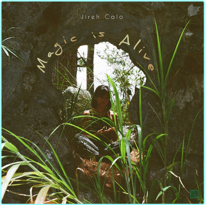 [Image: wil1l4j0n9sc.png]