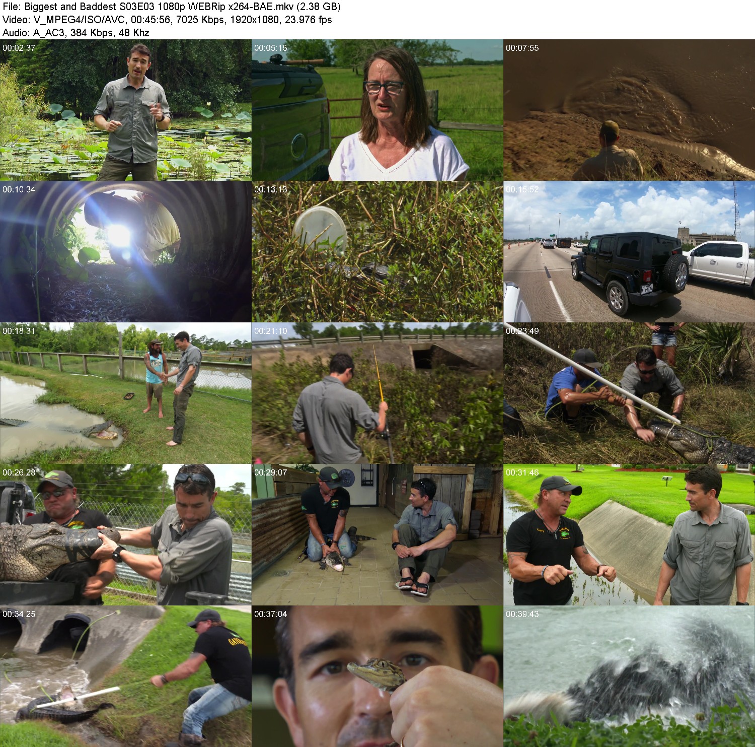 [Image: b6vmu1ueq62v.jpg]