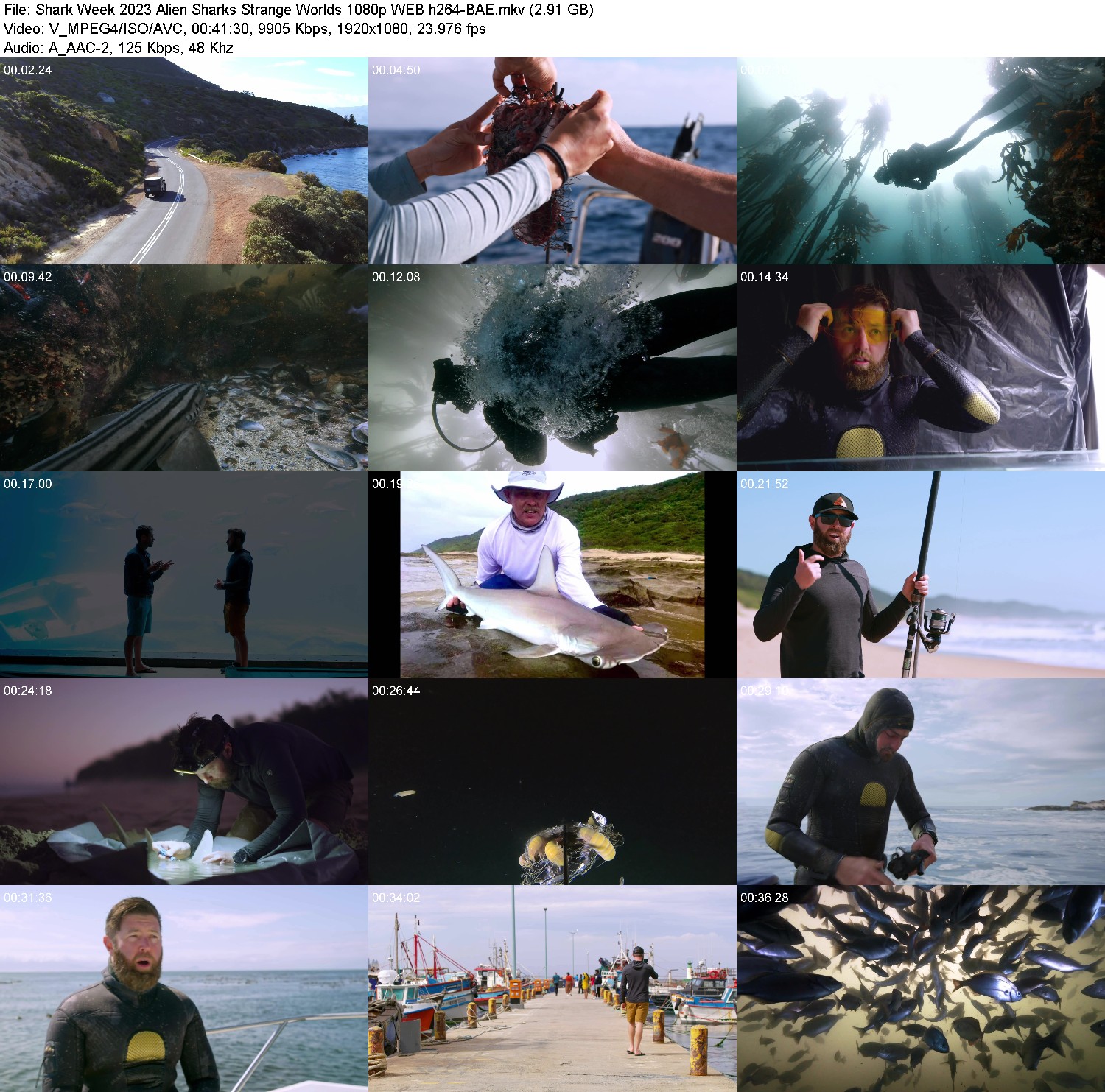 [Image: be2j21ohap3d.jpg]