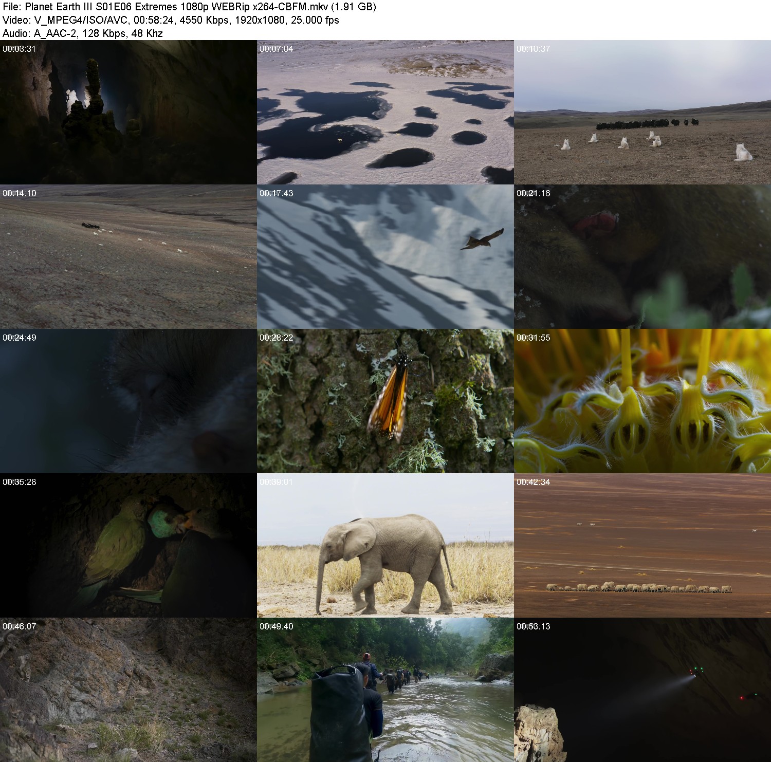 [Image: e9exf0u0ryf6.jpg]