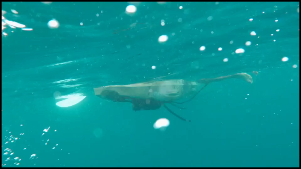 [Image: 9dufyhov3c12.png]