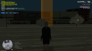 UKRAINE-GTA-25-02-2026-2-16-31