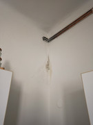 IMG-20260309-095943