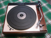 DSC07883.jpg