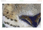 2913246-crosti-ru-color-24