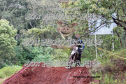 IMG-6453