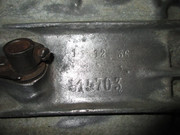 IMG-6384.jpg