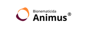 Animus