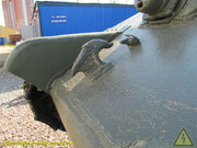 IMG-3381