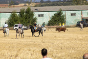 IMG-0427