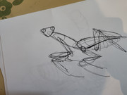 IMG-20240228-132221580