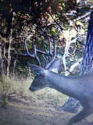 20190925-180026