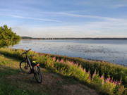 IMG-20210703-213025.jpg