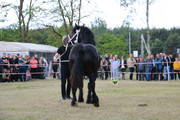 IMG-7365-wynik