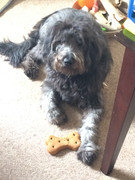 2308E115-ED34-4D69-9B85-51B3129DEF96