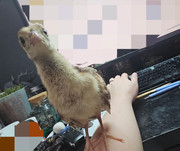 [Image: IMG-20250728-081218.jpg]