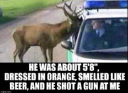 [Image: FB-IMG-1755871788404.jpg]