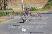 IMG-2356