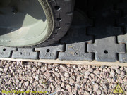 IMG-3373