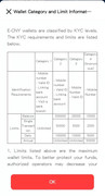 limite du wallet e-yuan