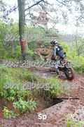 IMG-0341