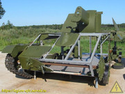 IMG-0850