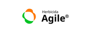 Agile