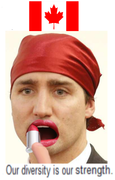 CanadaTrudeauDiversity