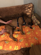 21D76DC1-947B-42BA-8E8E-0D7EE36C1461