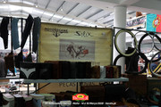 IMG-5251