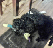 A9081739-4891-49A5-9D11-8B6BF2122BD8